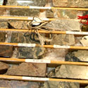 Vancouver World Resource Investment Conference 2008 - Serengeti Resources